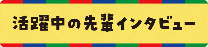 活躍中の先輩インタビュー